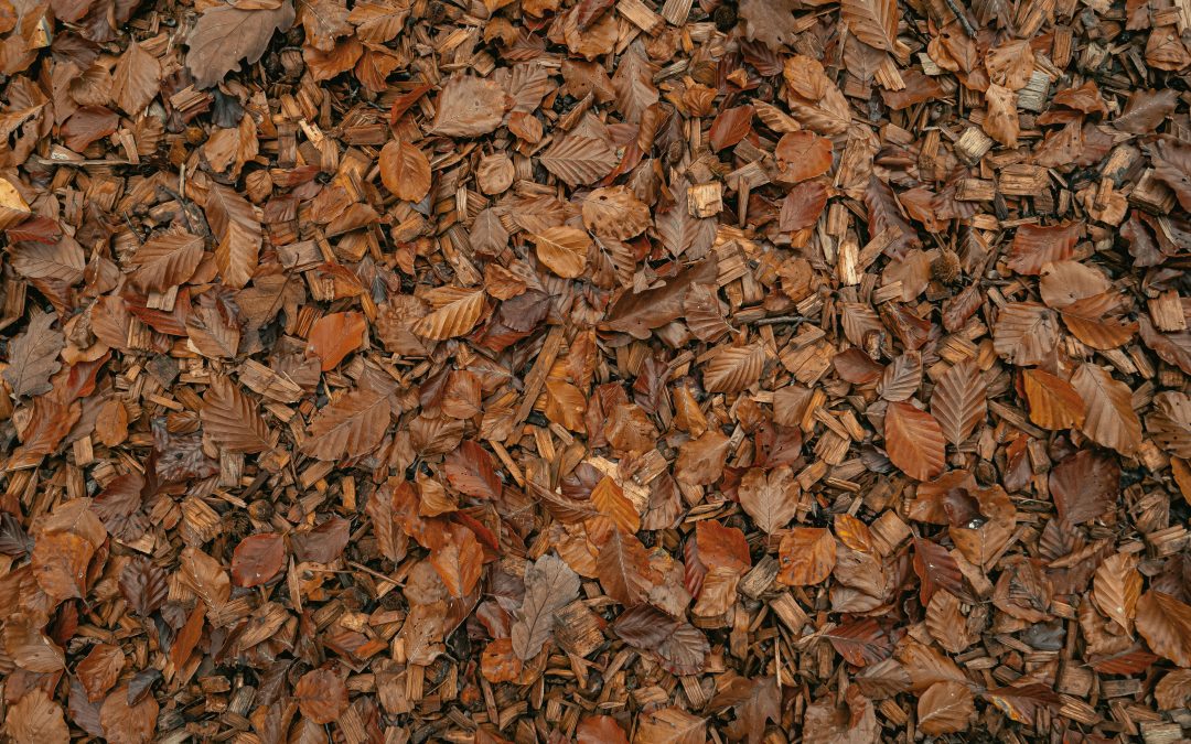 Preparing Your Home for Fall: Heating and Air in Paducah, KY